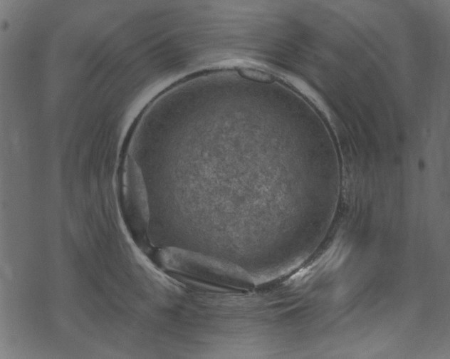 X0000074040951200608281441