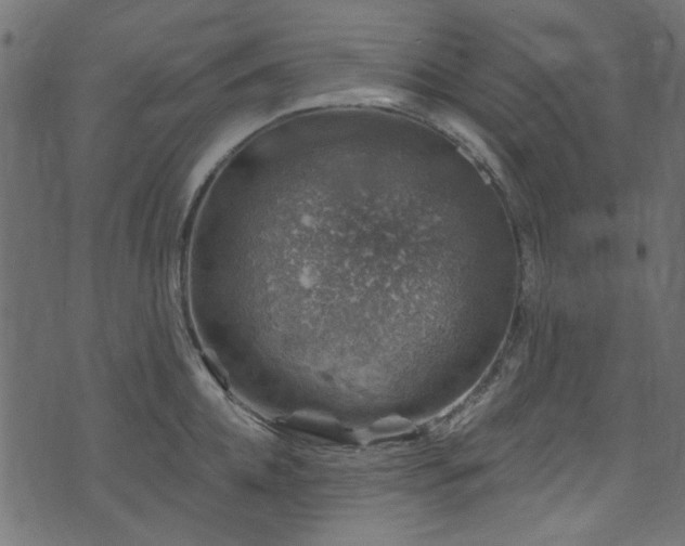 X0000074040952200608281441