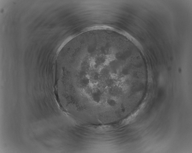 X0000074040953200608281441