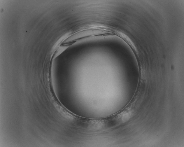 X0000074040954200608281441