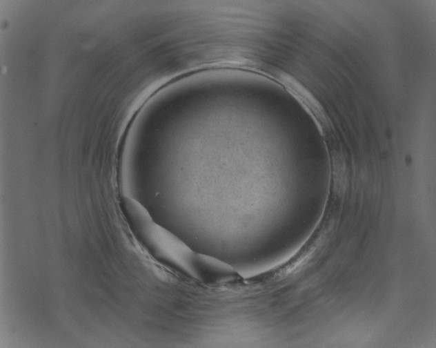 X0000074040956200608281441