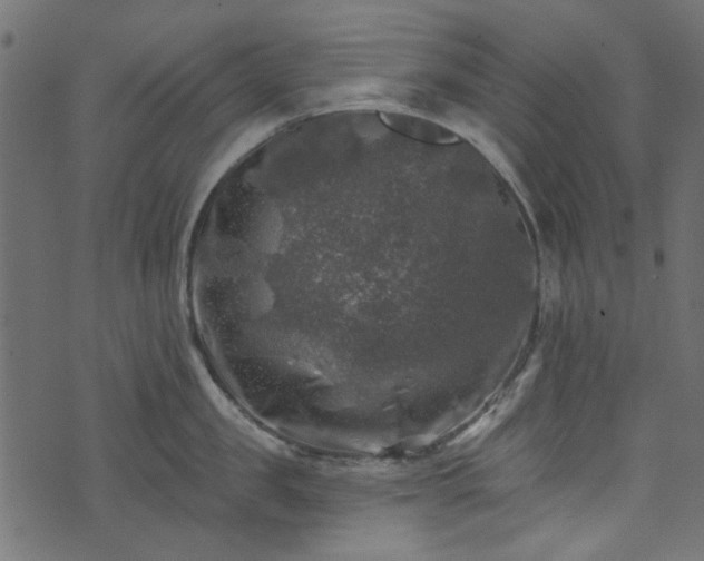 X0000074040957200608281441