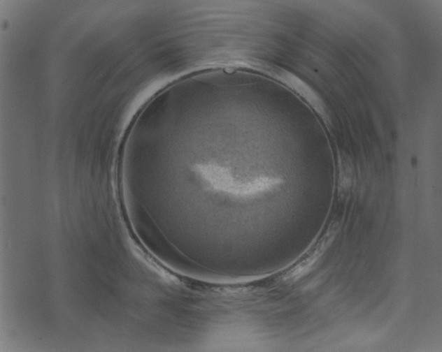 X0000074040958200608281441