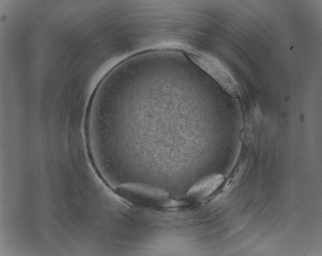 X0000074040959200608281441