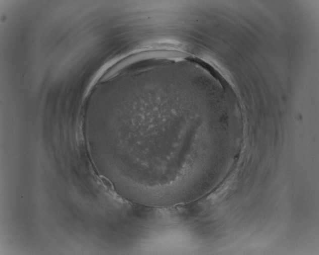 X0000074040960200608281441