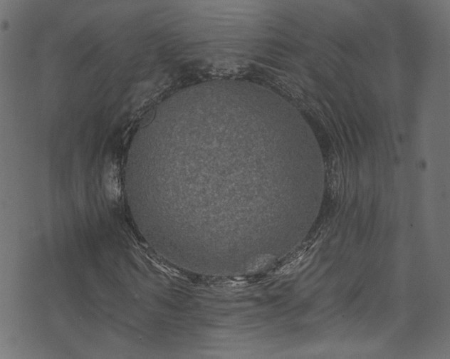 X0000074040962200608281441