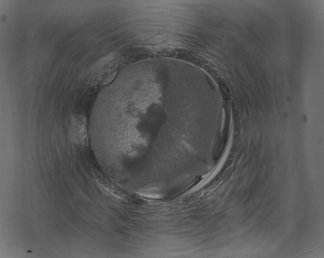 X0000074040963200608281441