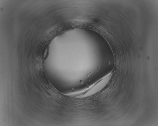 X0000074040964200608281441