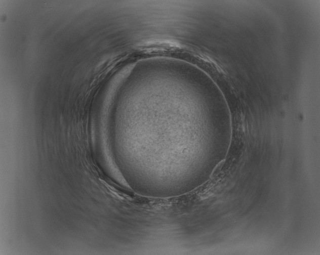 X0000074040965200608281440