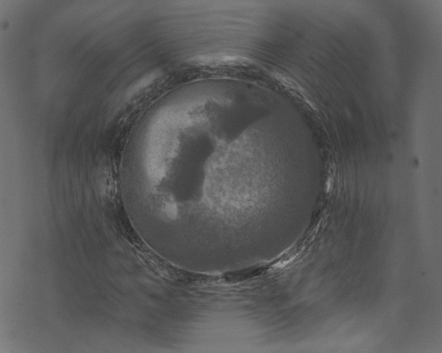 X0000074040966200608281440