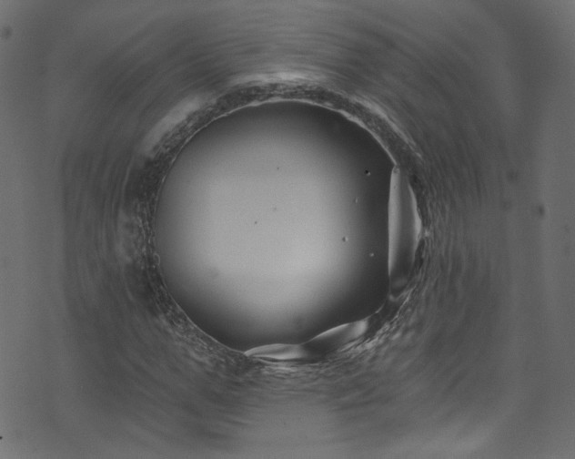 X0000074040967200608281440