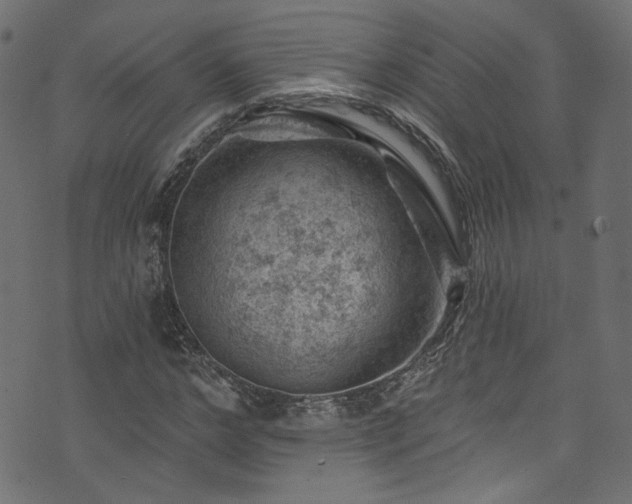 X0000074040968200608281440