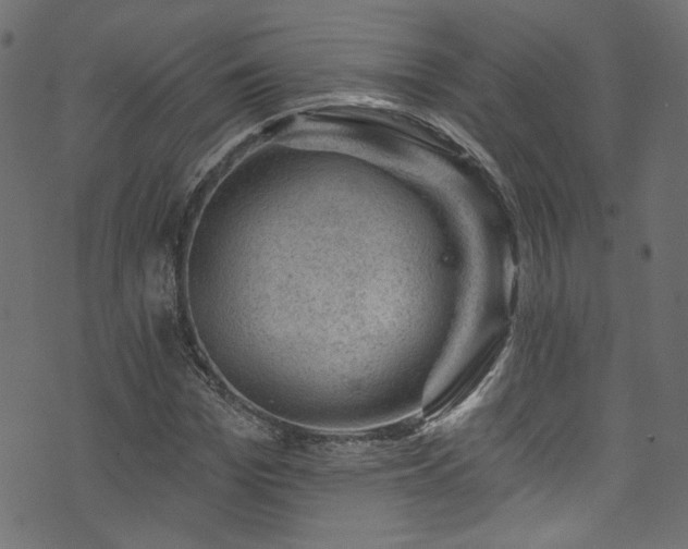 X0000074040969200608281440