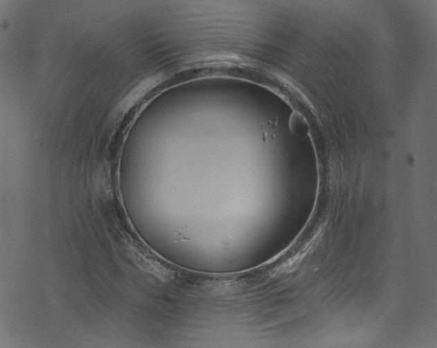 X0000074040970200608281440