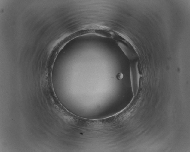 X0000074040971200608281440