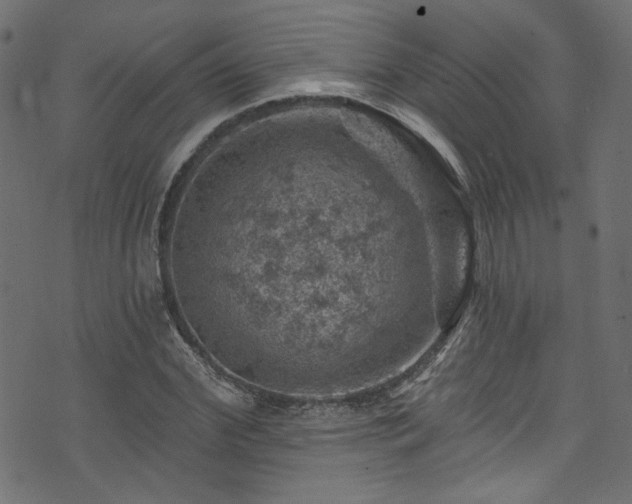 X0000074040972200608281440