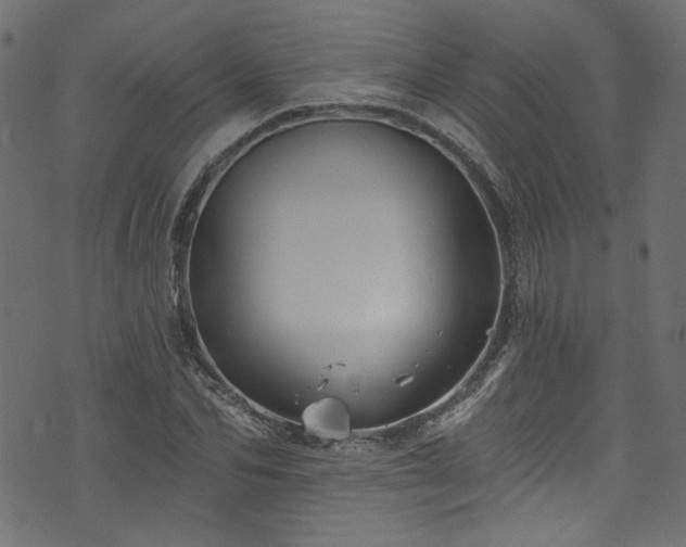 X0000074040974200608281440