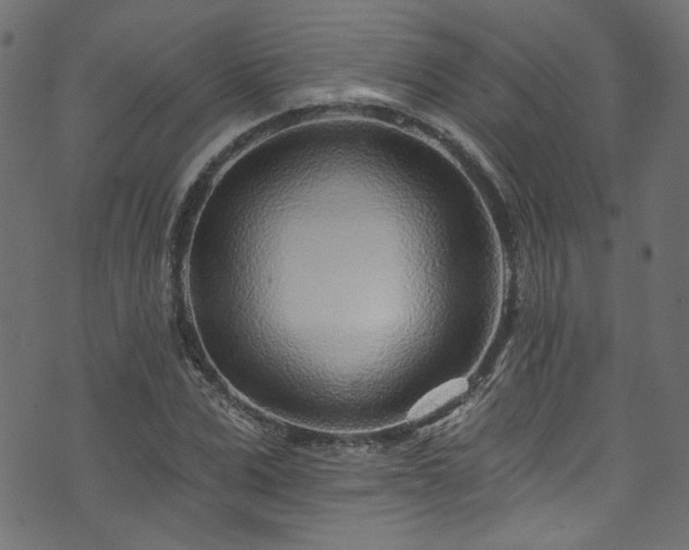 X0000074040975200608281440