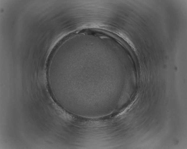 X0000074040976200608281440