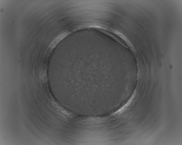 X0000074040977200608281440