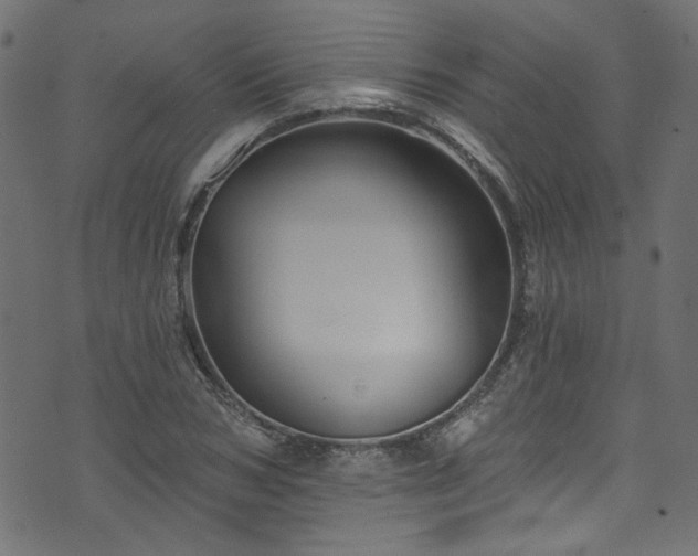 X0000074040978200608281440