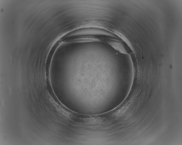 X0000074040980200608281440