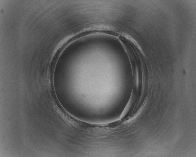 X0000074040981200608281440