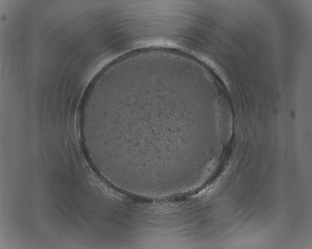 X0000074040983200608281440