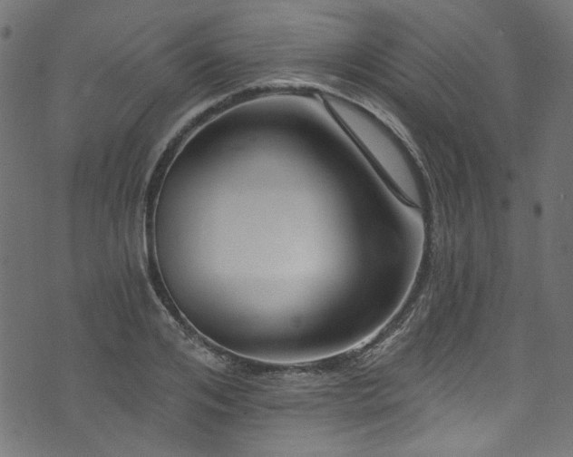 X0000074040984200608281440