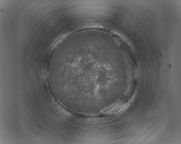 X0000074040985200608281440