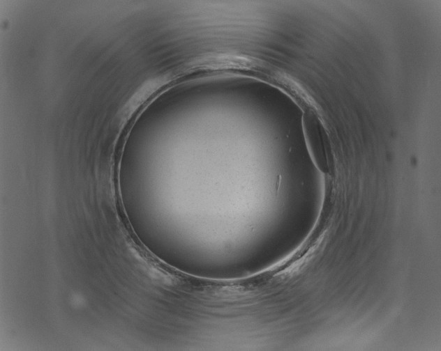 X0000074040986200608281440