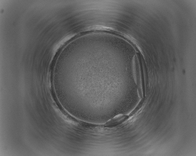 X0000074040987200608281440