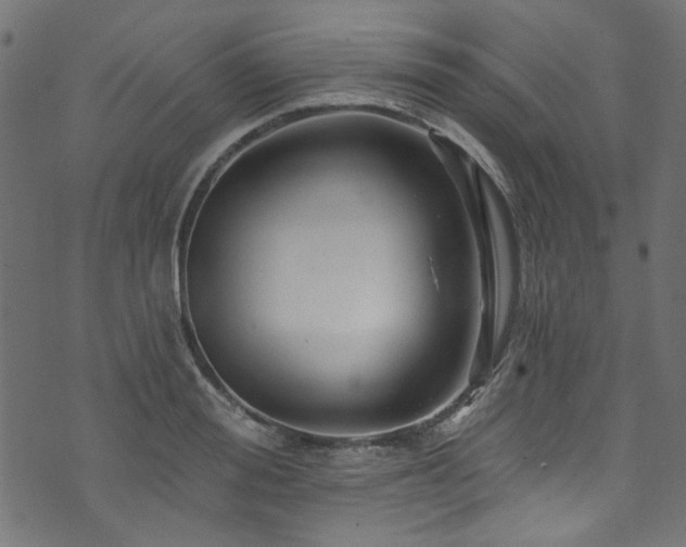 X0000074040988200608281440