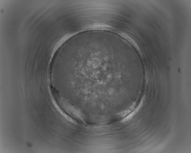 X0000074040989200608281440