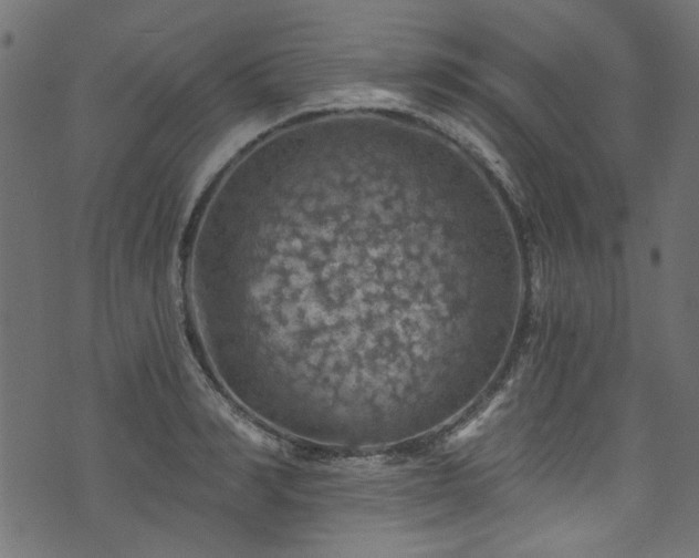 X0000074040990200608281440