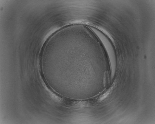 X0000074040991200608281440