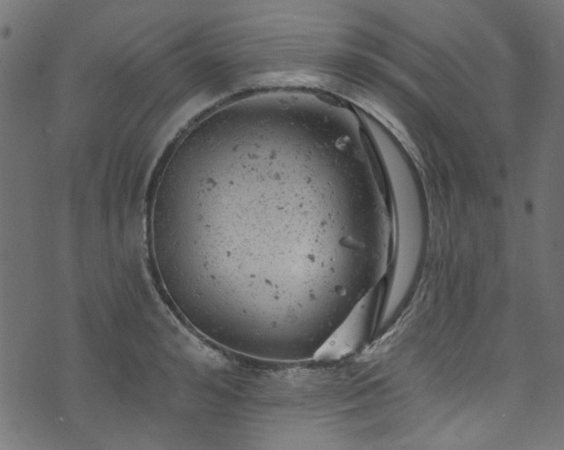 X0000074040992200608281440