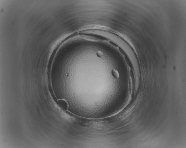 X0000074040995200608281440