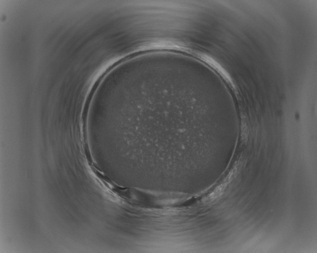 X0000074040996200608281440