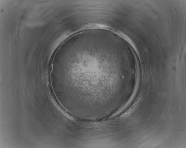 X0000074040997200608281440