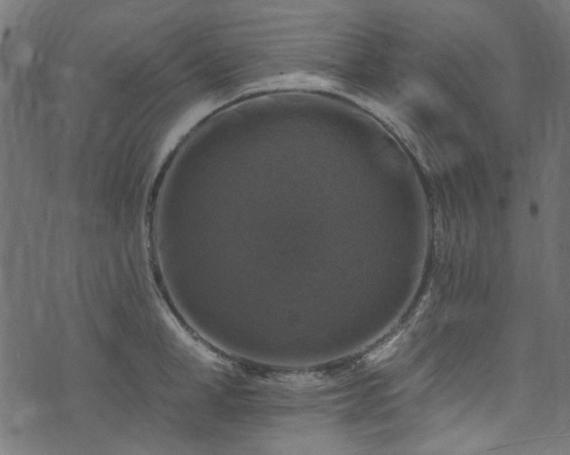 X0000074040998200608281440