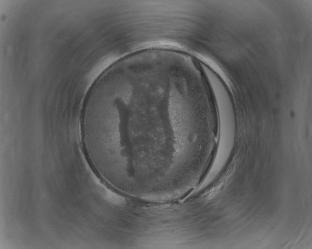 X0000074040999200608281440