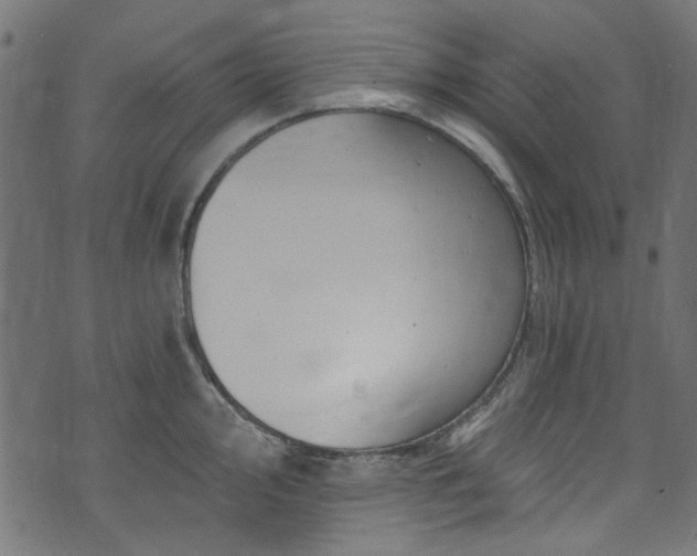 X0000074041000200608281440