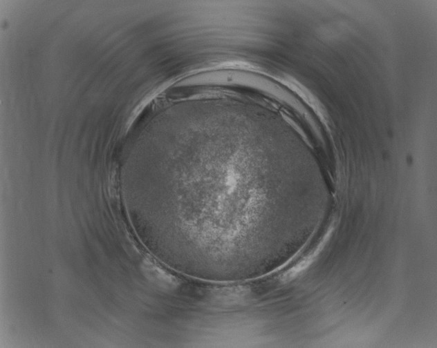 X0000074041001200608281440