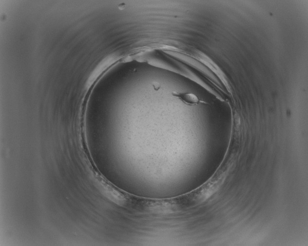 X0000074041002200608281440