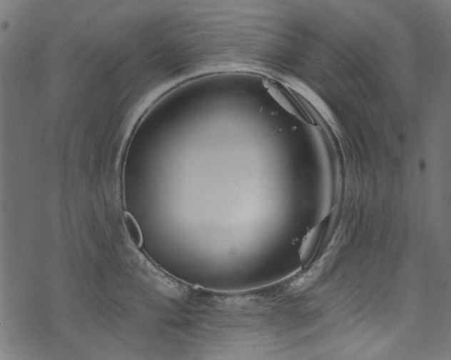 X0000074041004200608281440