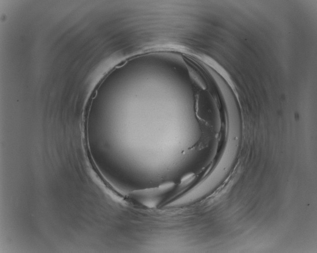 X0000074041005200608281440