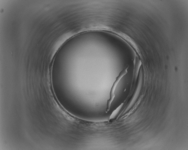 X0000074041006200608281440