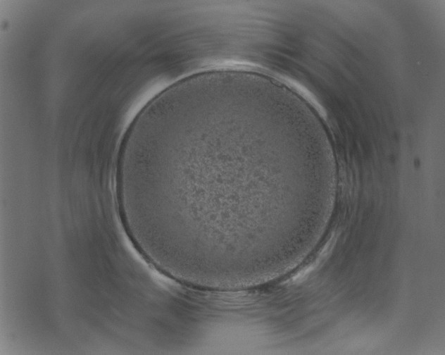 X0000074041007200608281440