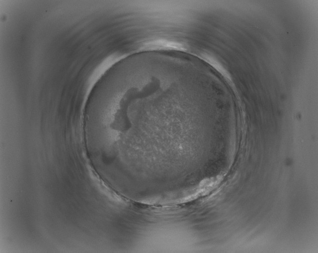 X0000074041008200608281440